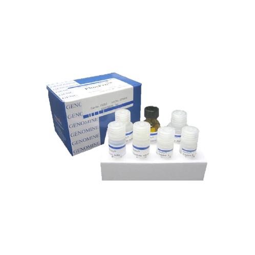 Antibody biotin conjugation kit | antibody,biotin,Protein