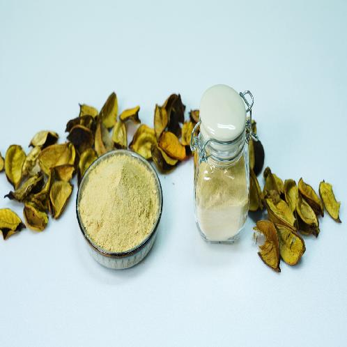 HydroMilkthistle HM40 | High Quality Milkthistle Powder, Milkthistle, High Bioavailability, High Bioavailability Milkthistle, Water Soluble Milkthistle, Water Soluble,
