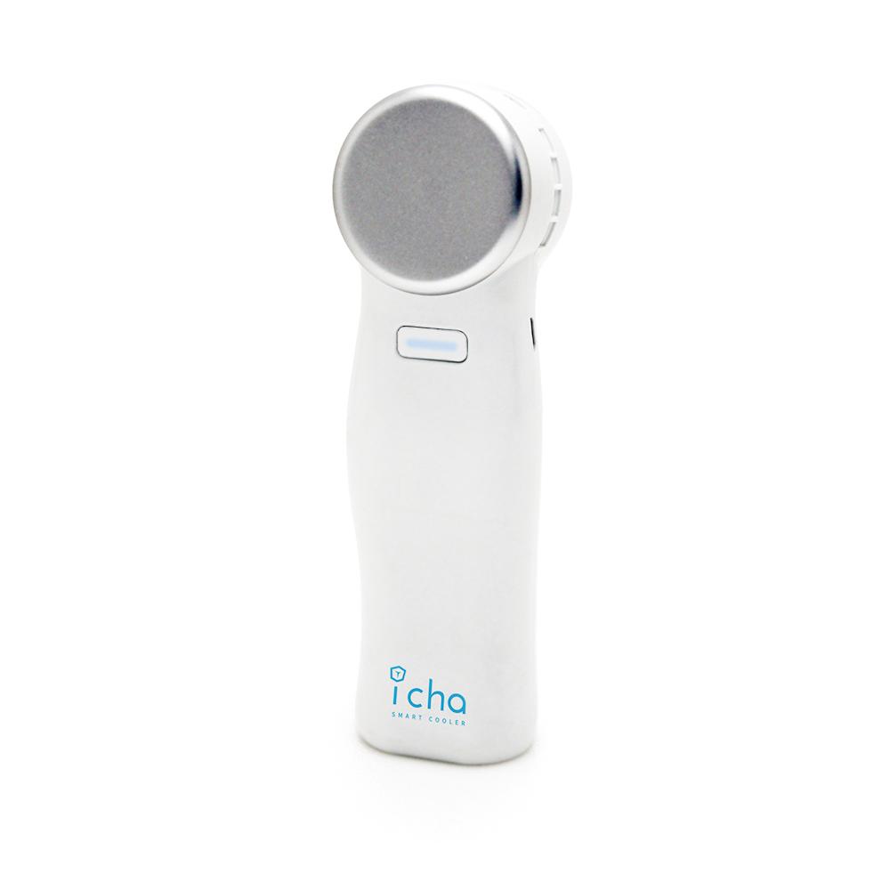 USB Chargable Facial Cooling Massager (icha)