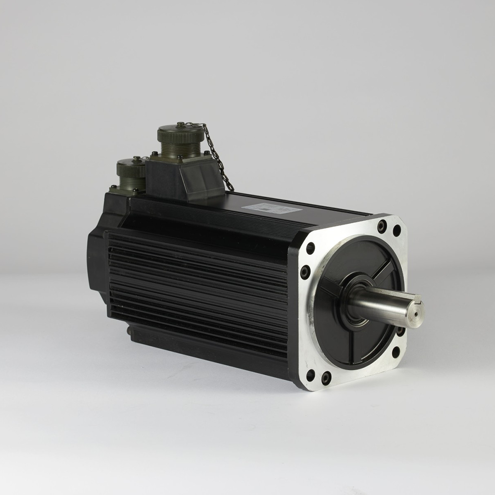 AC Servo Motor (110Vac, 220Vac, 380Vac)