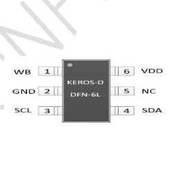 semiconductor security chip (IC)